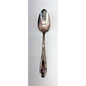 NSC Sectional Overlay Plus XX Teaspoon Vintage Silverplate Spoon 6"